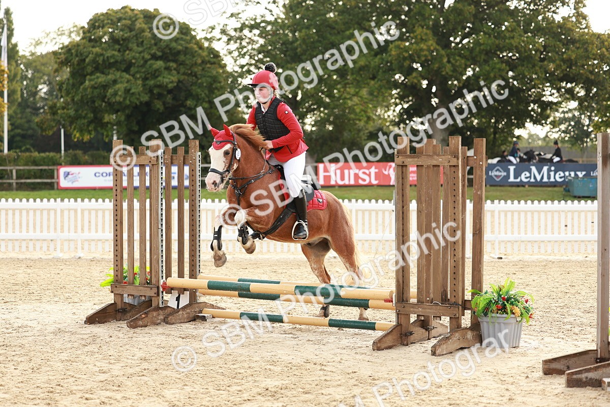 SBM_55623 - J11 - Junior Pony 50cm Championship