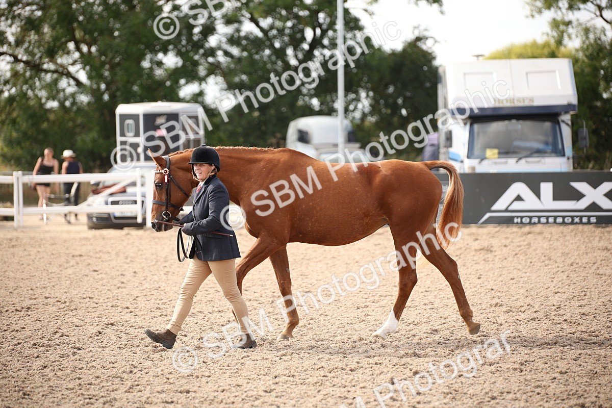 SBM_07070 - Class 25 IH Foreign Breeds- Pure bred