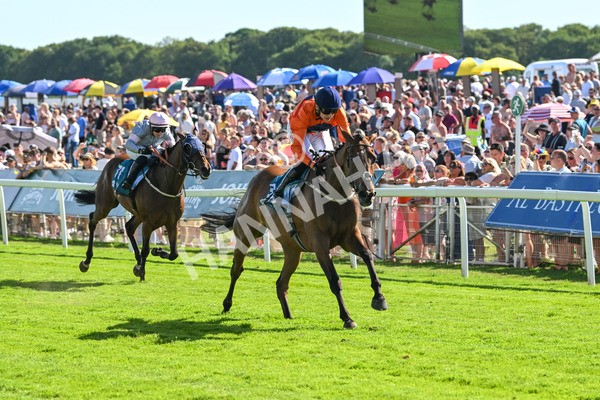 120725-Race 6-Terrorise-6101 - Race 6 4.45pm John Smith's Stayers' Handicap