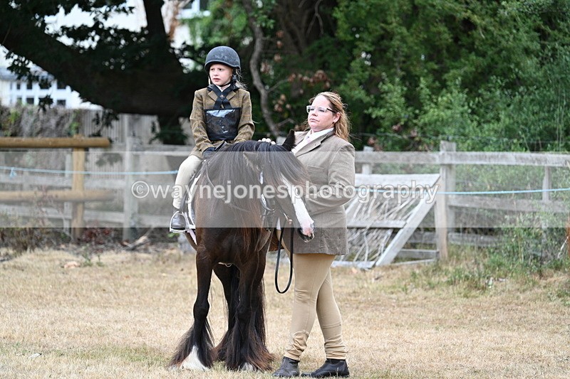 WJ7_8103 - Class 4 Prettiest Mare up to 14.2hh