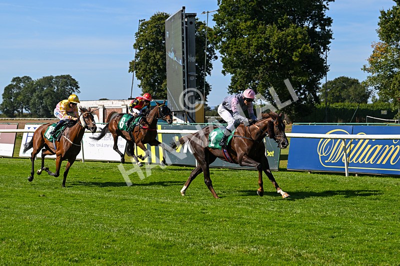 160924-Race 1-Susiesparkle-2514 - Race 1