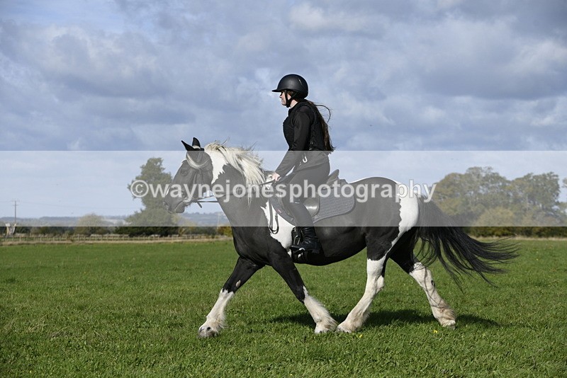 _DSC6654 - Time 11:23 to 12:05