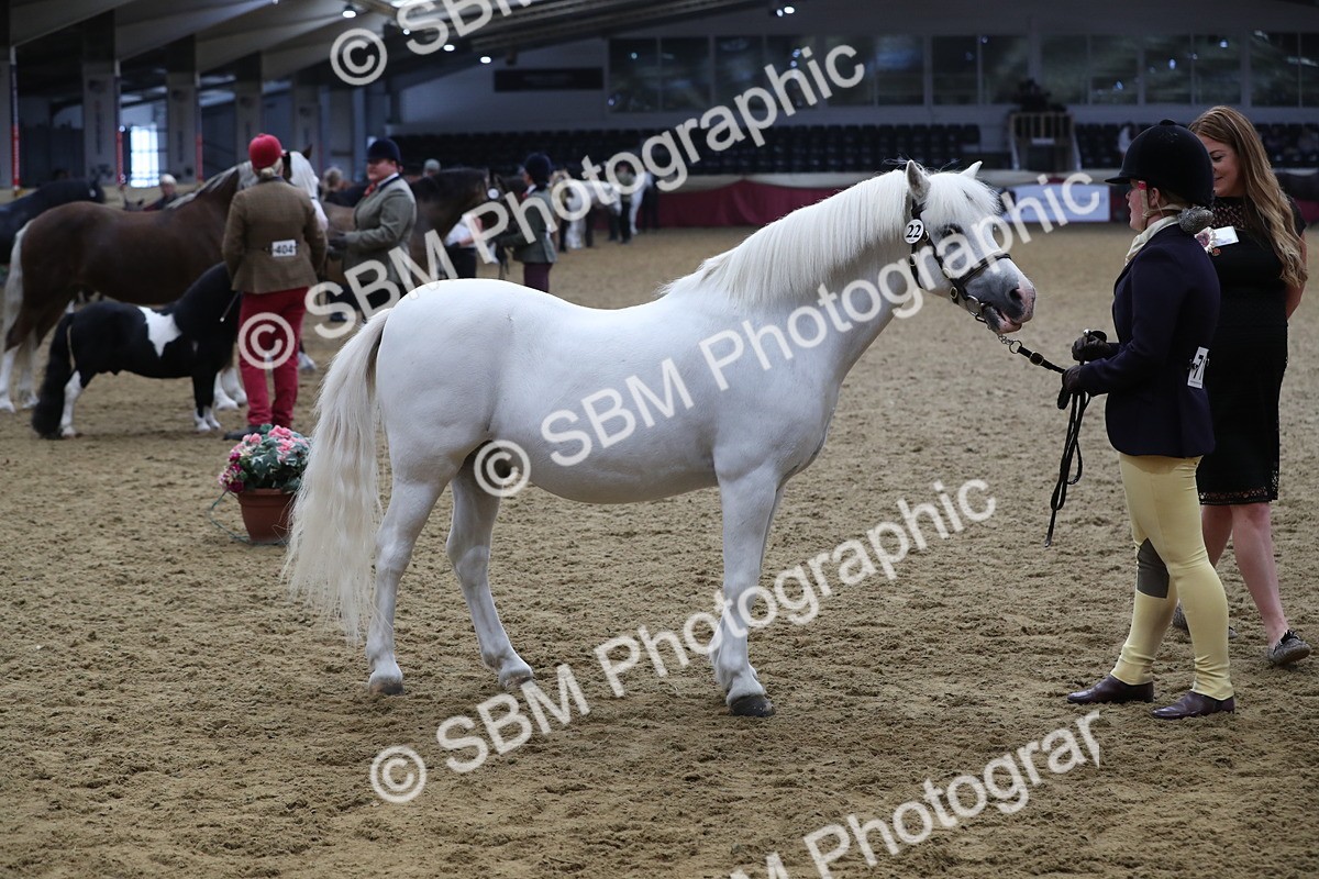 SBM_15319 - Class 501 M&M IH Supreme Final