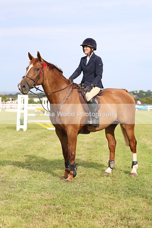 3E7A0885 - Class C: Showjumping Senior Foxhunter