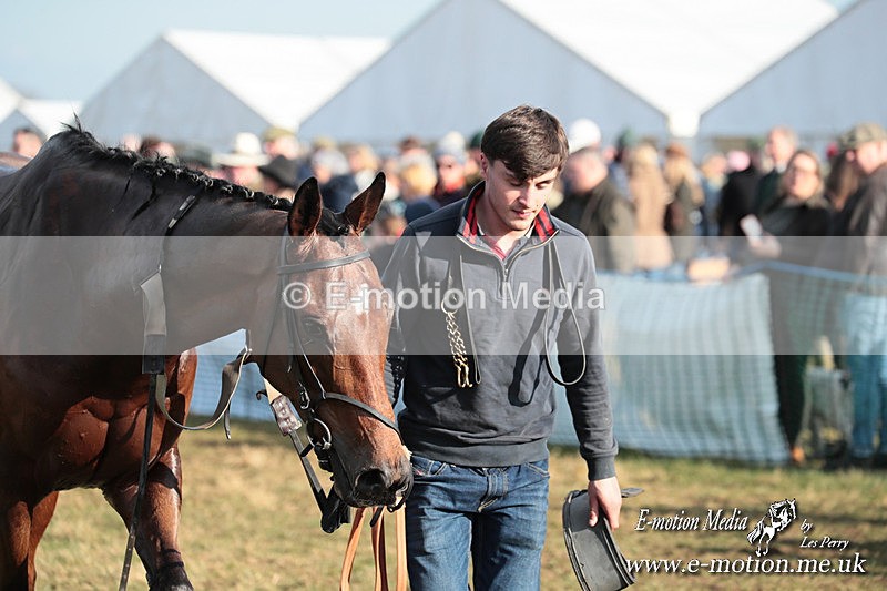 PtP 010325 354 - Beaufort Races Didmarton 01/03/25