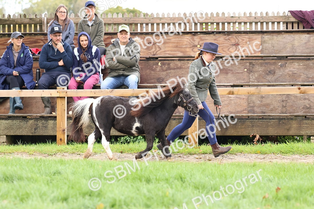 SBM_39456 - S24 - Young Veteran In Hand
