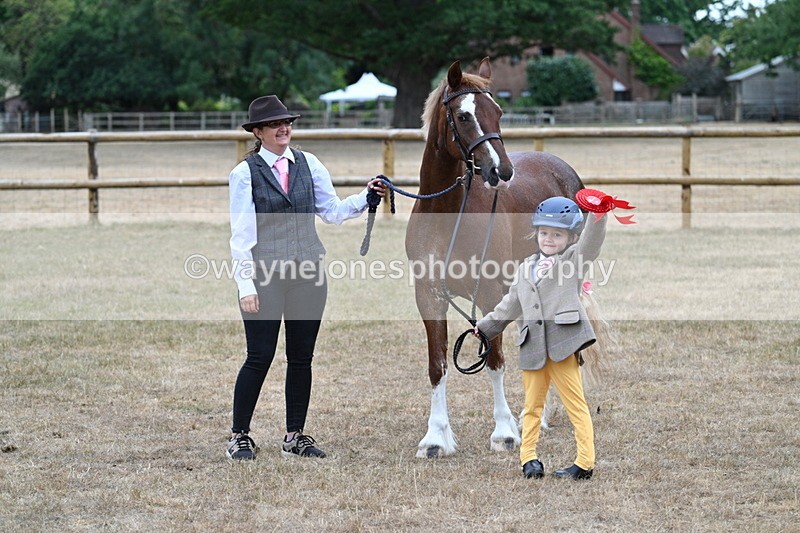 WJ7_8565 - Class 4 Prettiest Mare up to 14.2hh