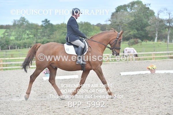 BPP_5992 - PRELIM TEST 5 LONG ARENA