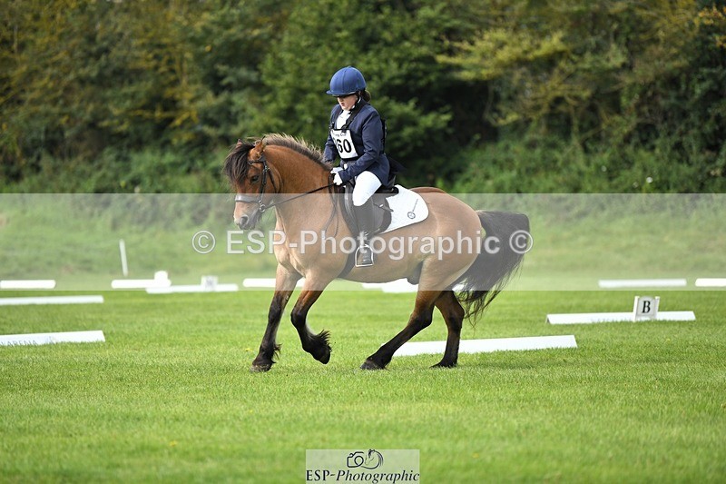 230826-101105-15397 - Sections C & D 10 to End