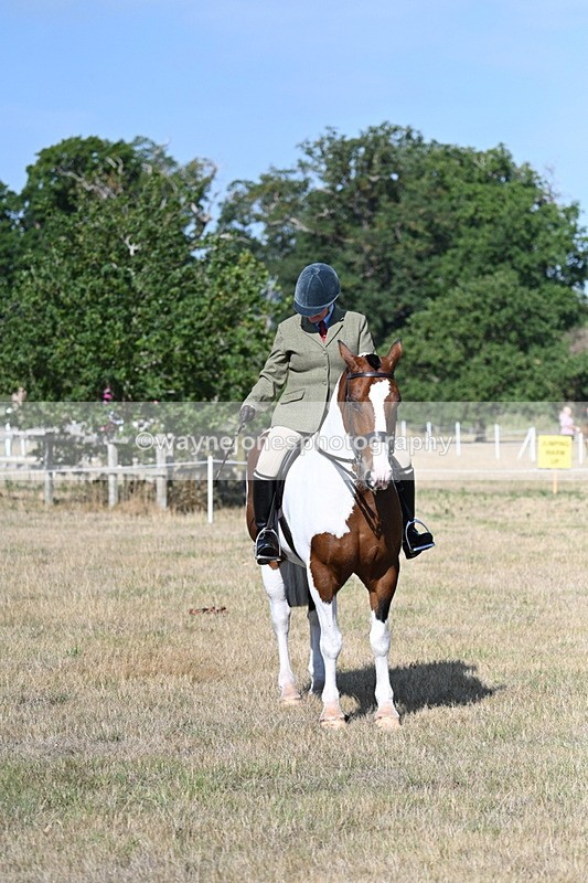 WJ7_2866 - Class 8 Ridden Tack & Turnout
