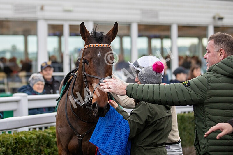 171224-Race 2-Bust A Move-0049 - Race 2