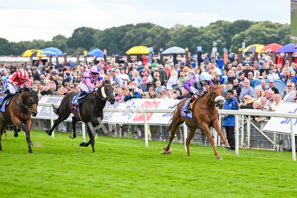 240824-Race 1-See The Fire-0979 - Race 1 1.50pm Sky Bet Strensall Stakes