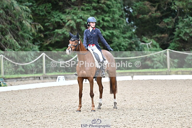 251022A-145125-00145 - C-206-Madison.Tapner