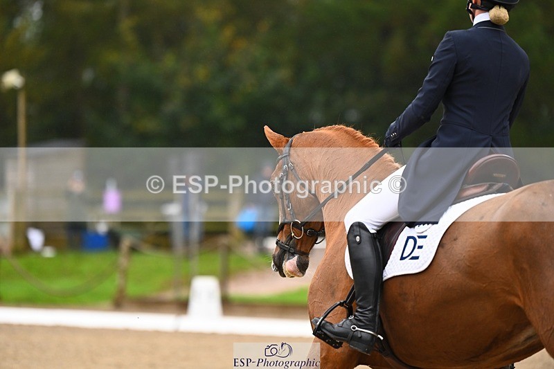 231021-104911-14727 - 333-BOLEYBAWN.DASSETT.CRUISE-Izzy.Hall-DR