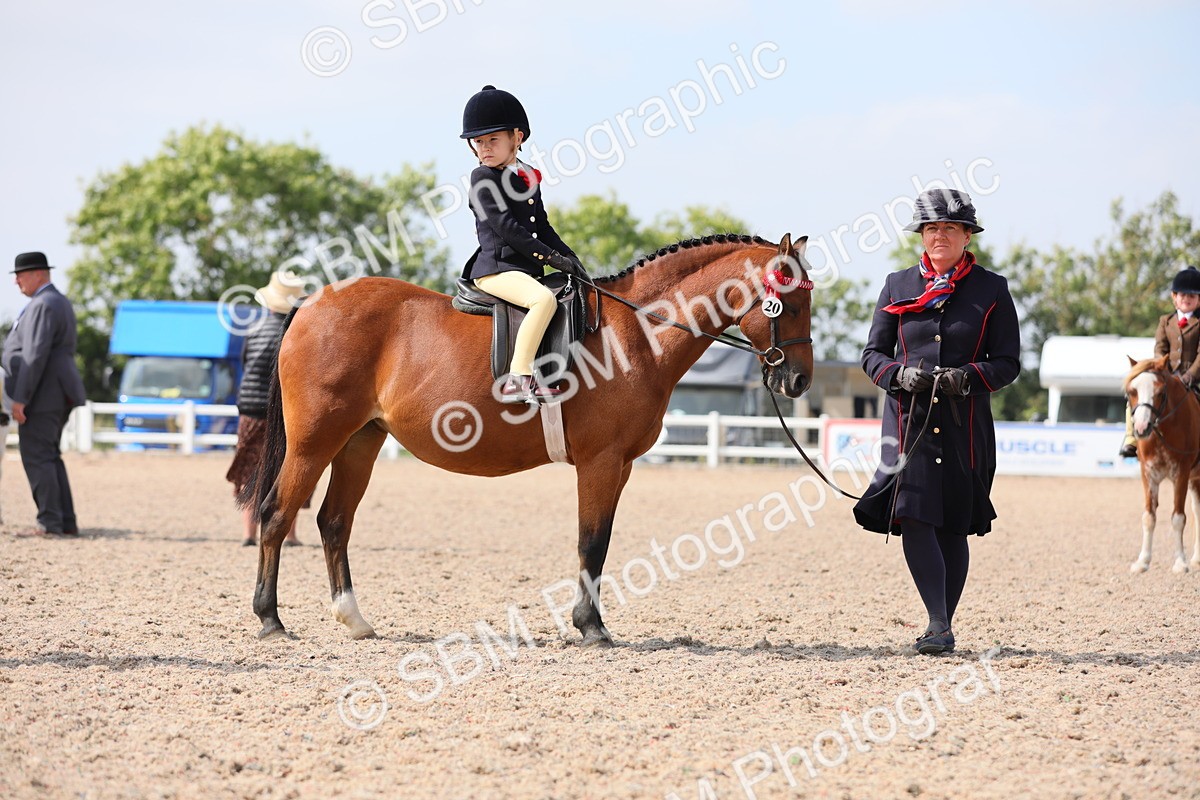 SBM_14049 - Class 309 Lead Rein Pony
