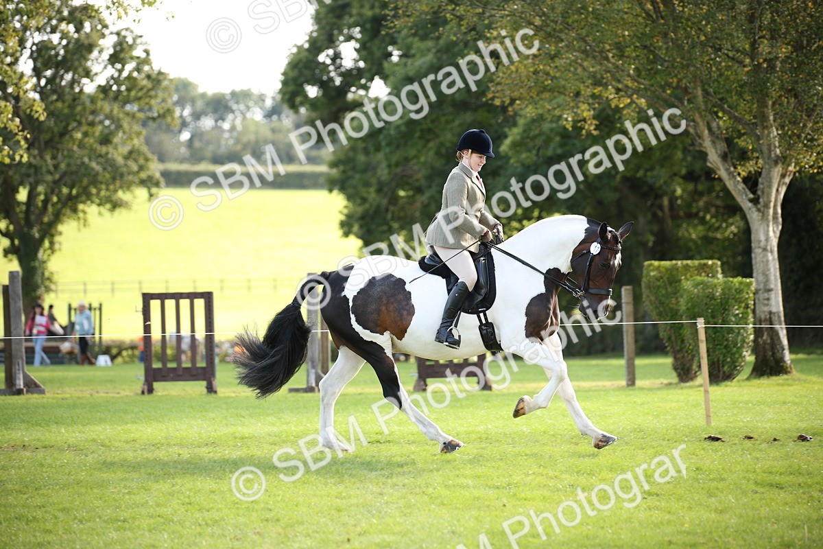 SBM_50118 - S26 - Young Veteran - Ridden