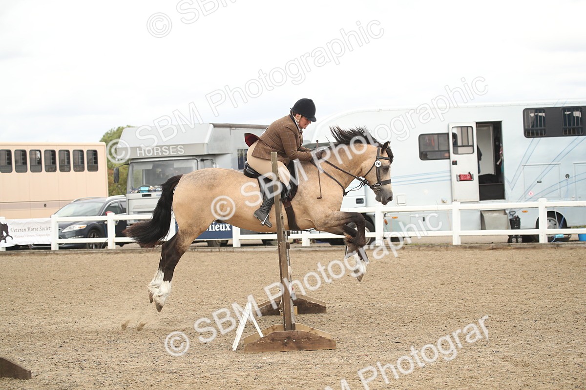 SBM_16681 - Class 507a - Working Veteran - 60cm (15-19)