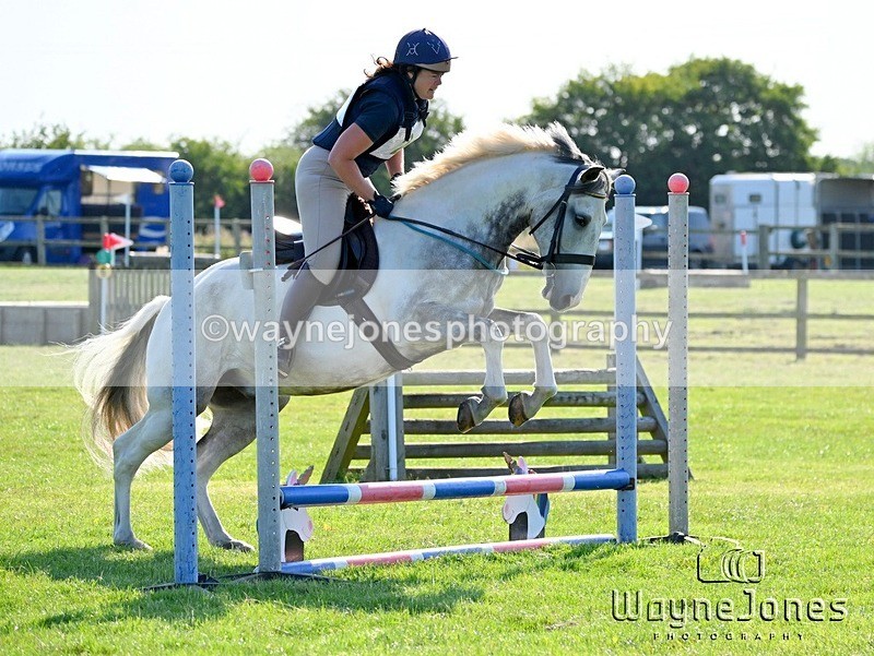 WJ6_8113 - Edited examples