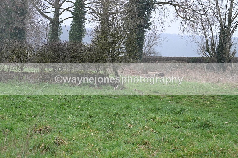 WJ7_0285 - Line 2 cam A