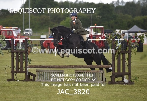 JAC_3820 - 65cm WORKING HUNTER