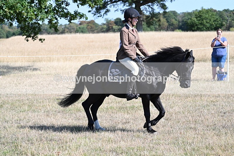 WJ7_3807 - Class 9 Mountain & Moorland Ridden