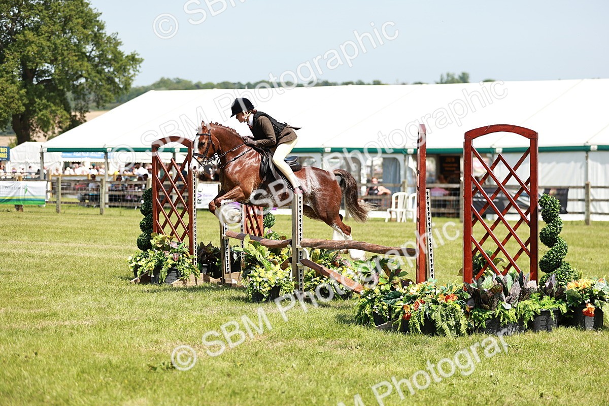 SBM_15522 - Class 108-109 - BSPS LIHS Open Gradle & Nursery Stakes