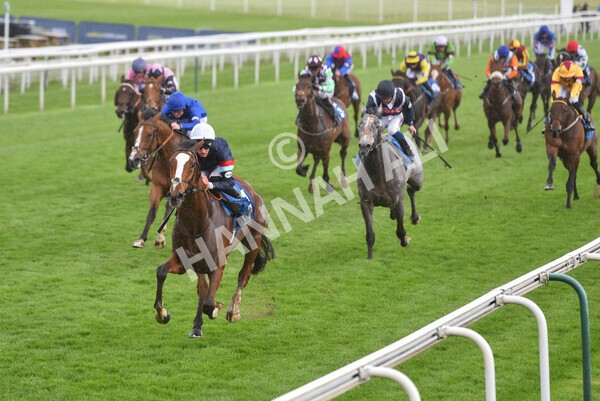 yr22052021r3-31 - Race 3 3.15pm William Hill Extra Place Races Stakes