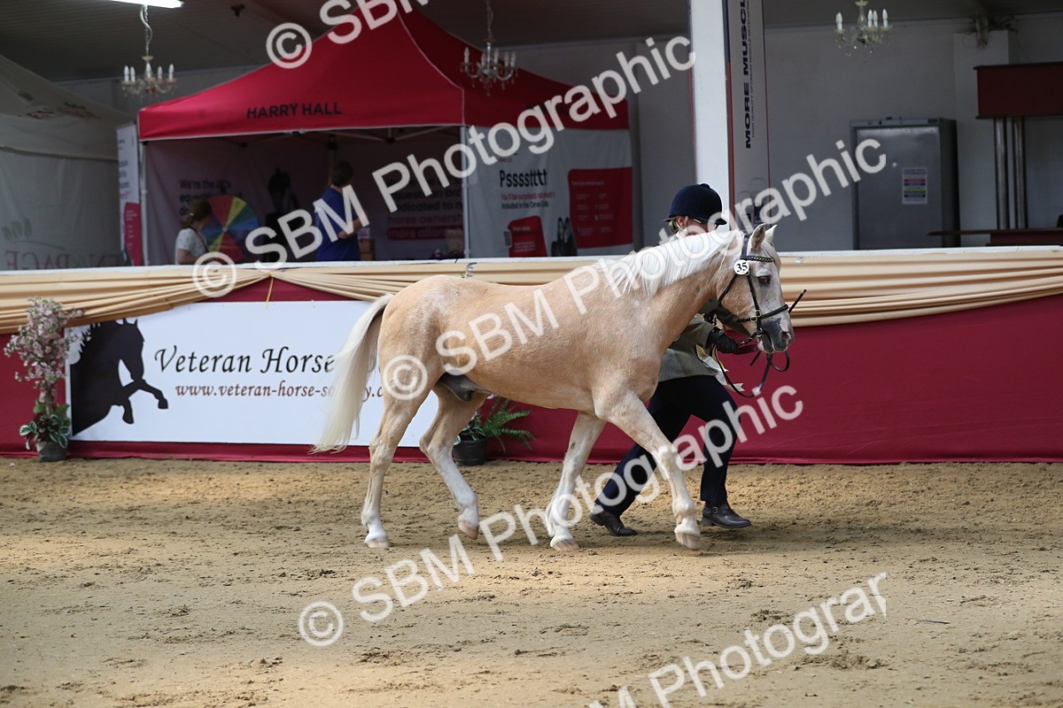 SBM_04504 - Class 7R Regional - IH Diamond