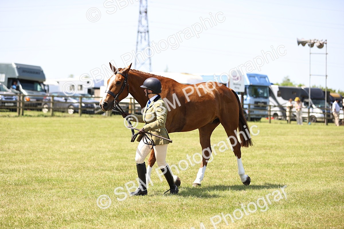 SBM_15191 - Class 79-80 - LIHS BSHA Rising Star Ridden Hunter