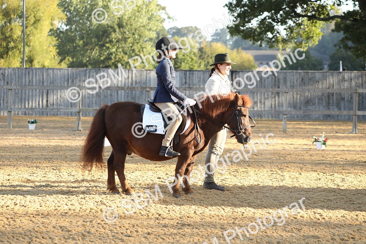 SBM_33632 - D26 - Starers - Lead Rein