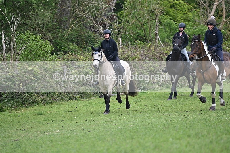 WJ6_2816 - A Camera