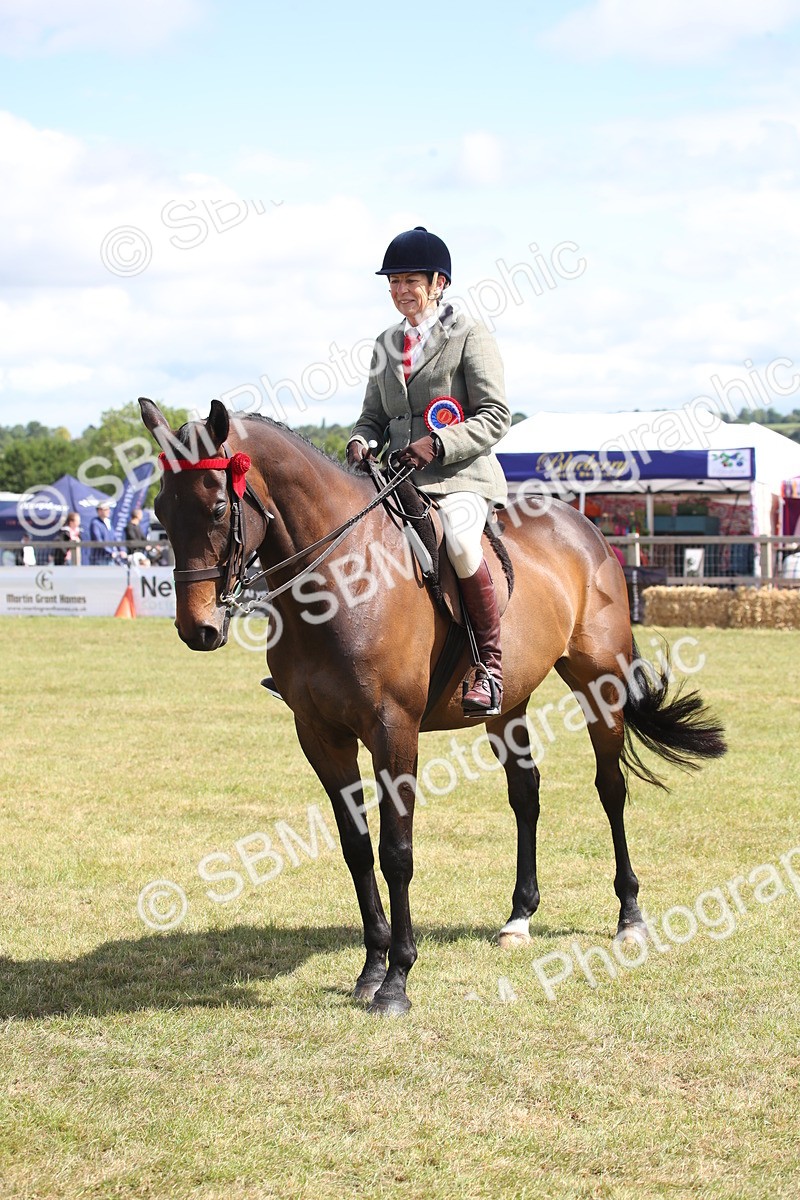 SBM_13333 - Class 95-96 - LIHS BSHA Rising Star Hack Riding Horse
