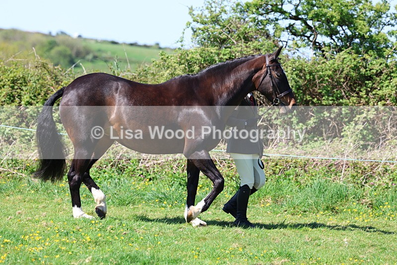 3E7A9865 - Class 17: Young Handler