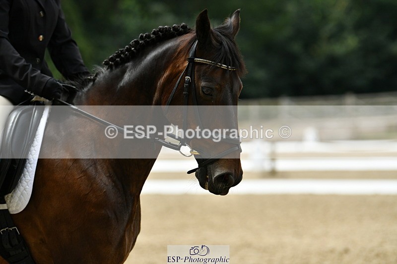 250718A-122008-01415 - 057-Maggie.Inglis-Hansard.Magical.Kenny