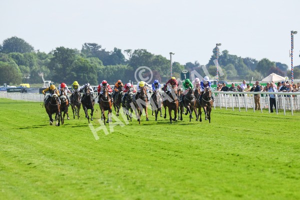 160623-Race 5-Harvanna-0568 - Race 5 4.10pm Juddmonte British EBF Fillies' Restricted Novice Stakes