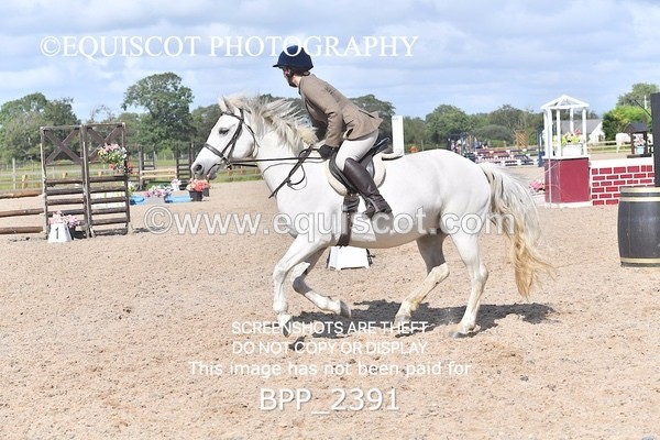 BPP_2391 - DERBY CLASS 7 - 80CM