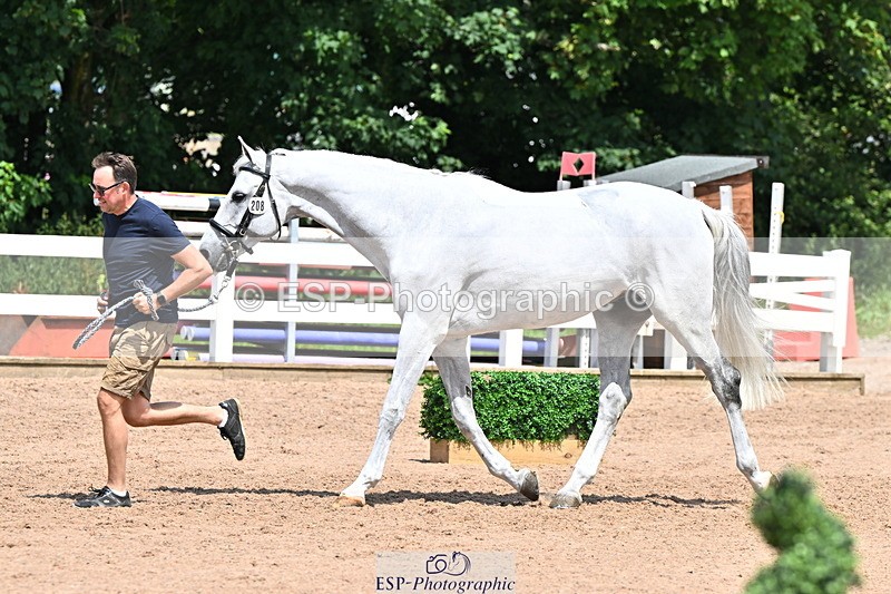 240718A-105318-01818 - Trot Up 1pm to 2pm