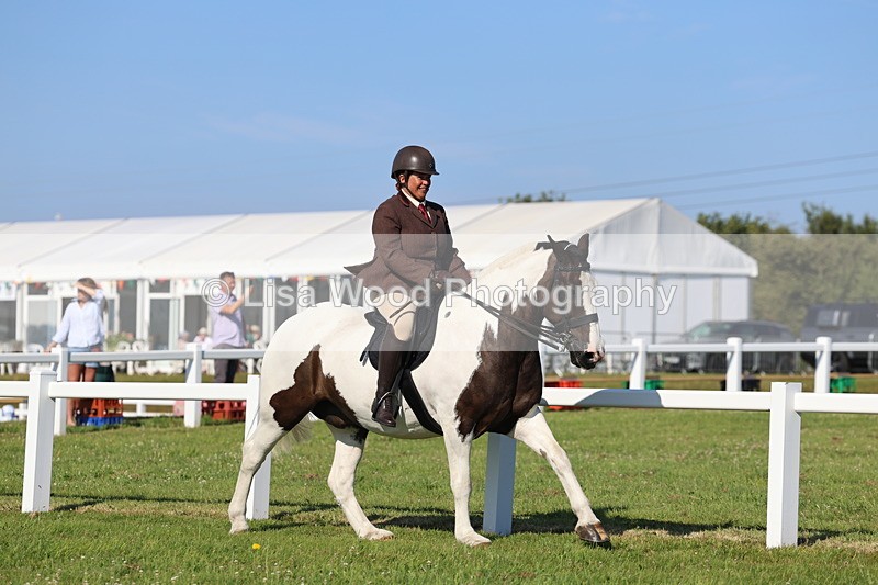 IMG_1479 - Class 30: Ridden Native/Trad Coloured Pony