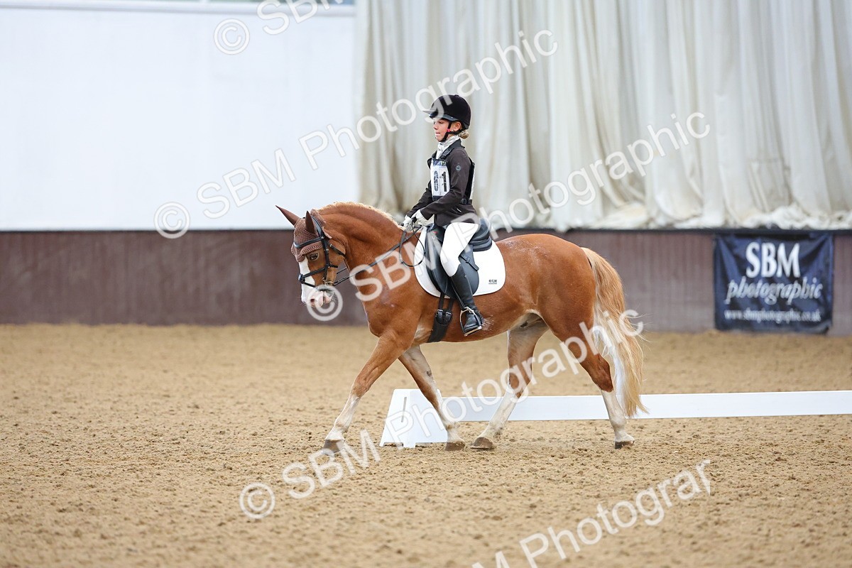 SBM_002952 - Novice