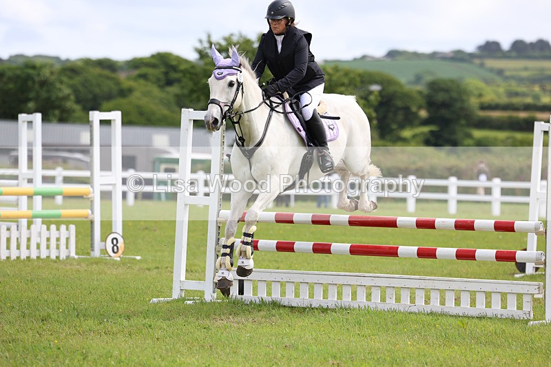 3E7A7433 - Class 13: Senior British Novice/90cm open