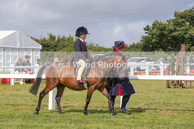 1X9A3561 - Class 29: Lead Rein SP/SHP