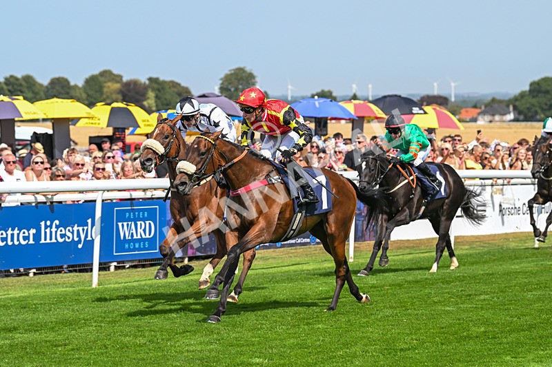 130825-Race 1-Arduis Invicta-6736 - Race 1