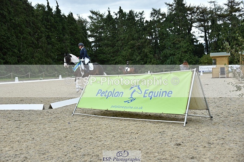 230813-163450-08295 - Elem Bronze Presentations