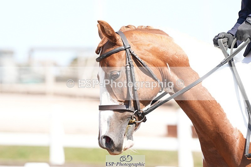 250817-143933-11020 - 199-Emily.BryerHarroway.Faerie.Dust