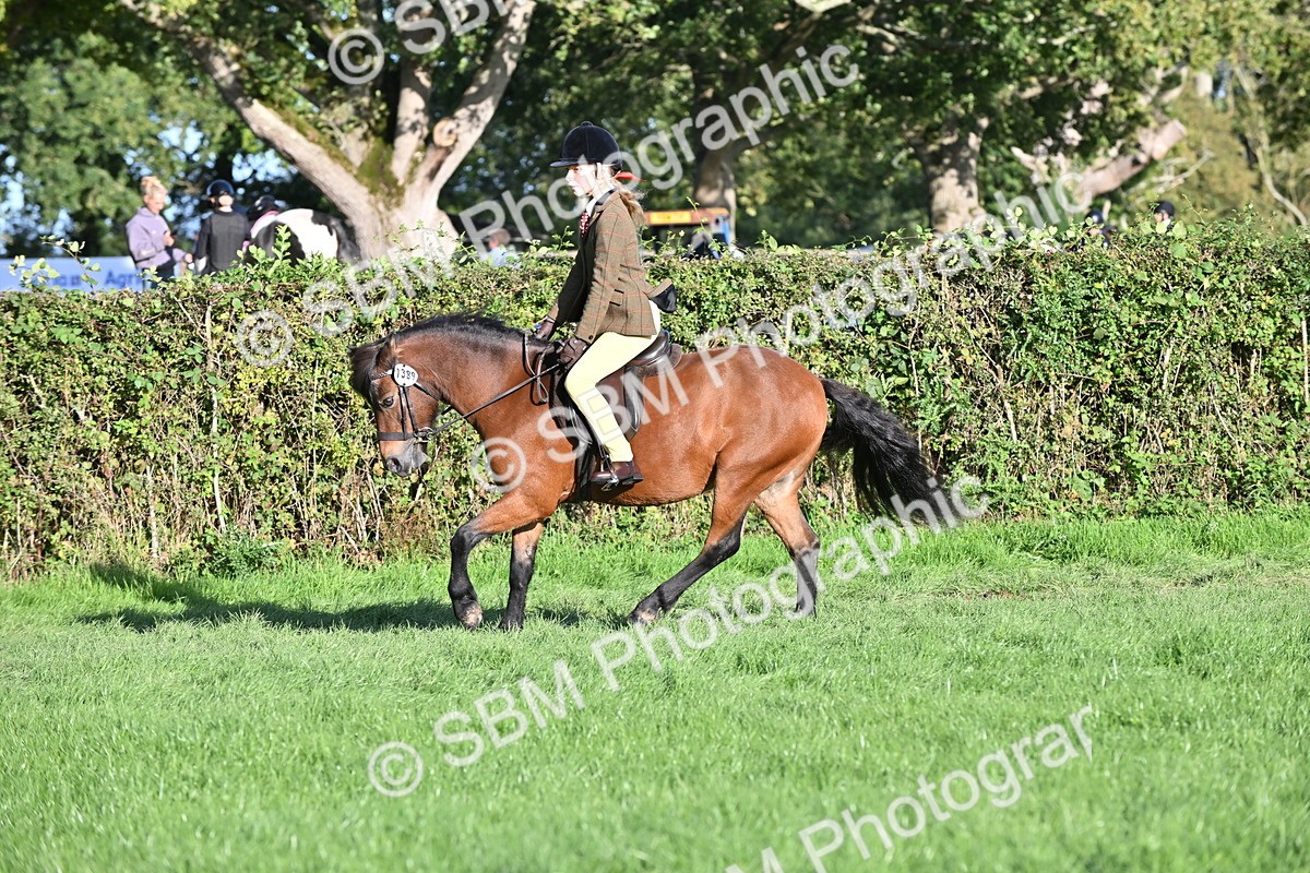 SBM_53020 - S23 - First Ridden Mountain & Moorland Pony