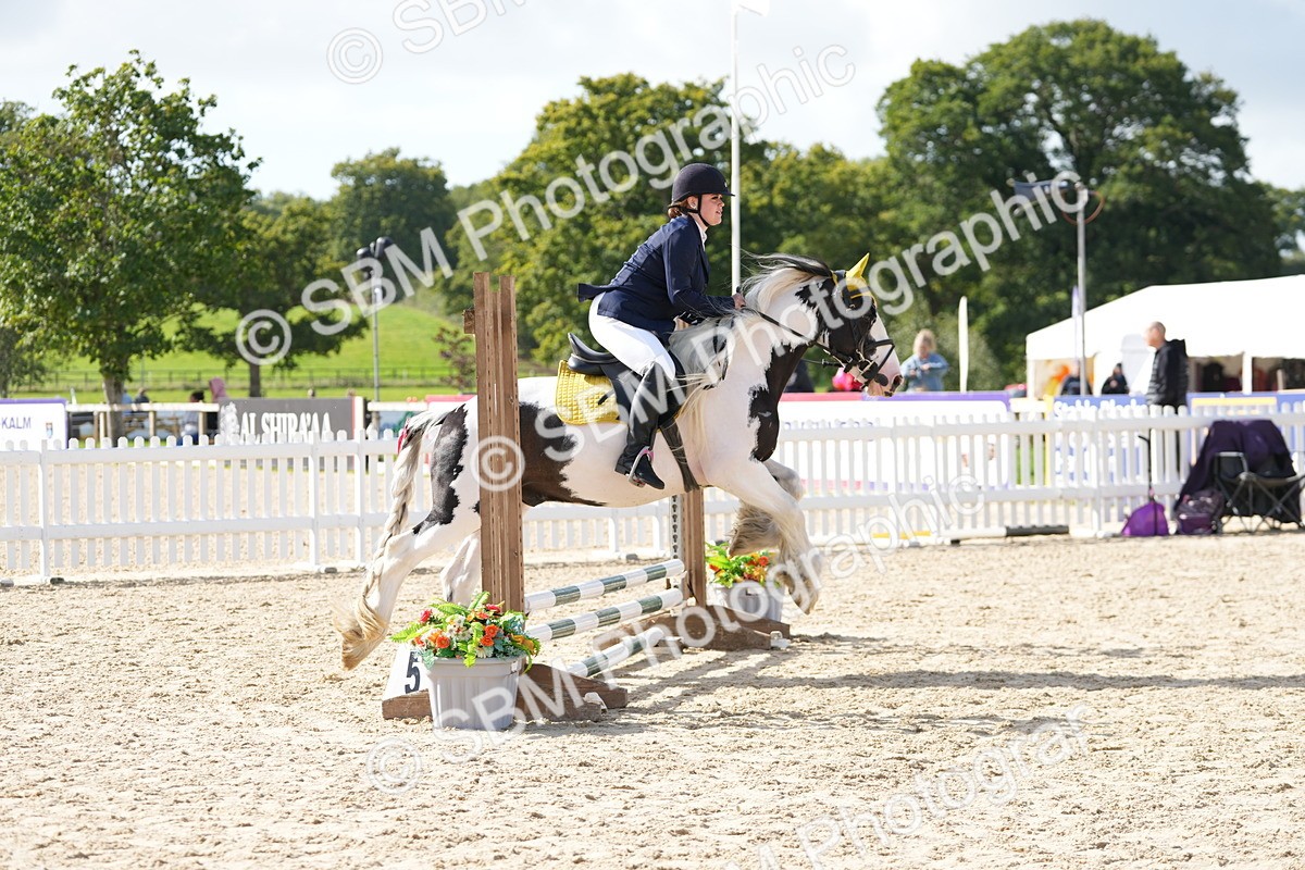SBM_16902 - J58 - Clear Round 50cm