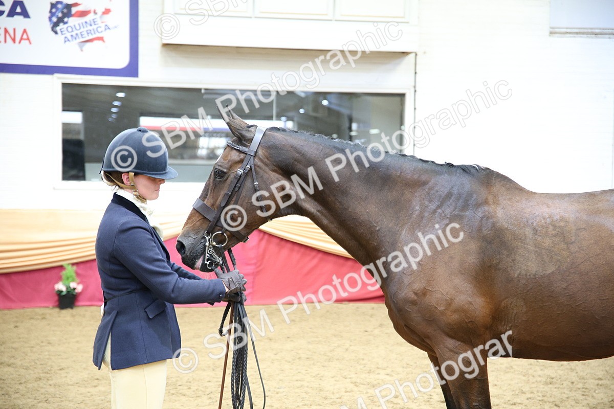 SBM_23373 - Class 904 - Supreme Final Ridden Diamond