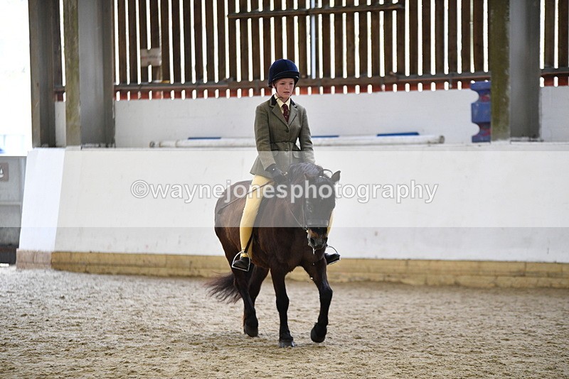 WJ5_6917 - Class 10 Childs Pony