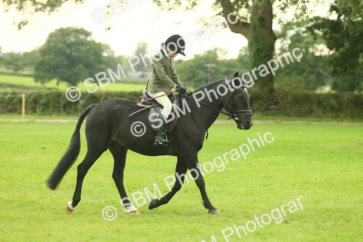 SBM_73919 - S 61 - Show Pony & Show Hunter Pony Ridden