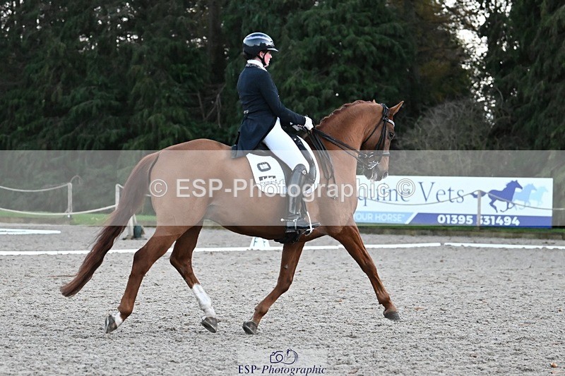 231110-163656-02694 - Cls 14 FEI Grand Prix